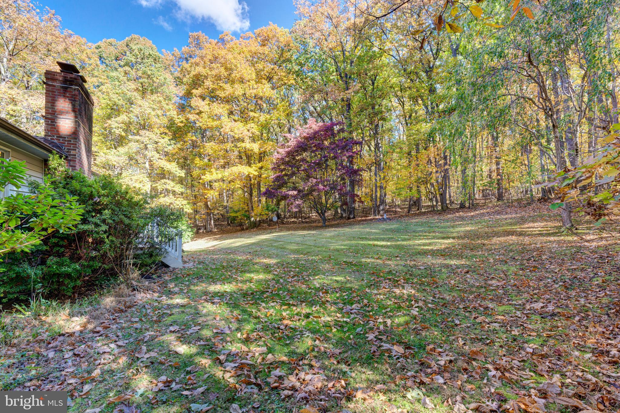 3870 Roop Road New Windsor, MD 21776 - Photo 48 of 59 a view of yard with tree