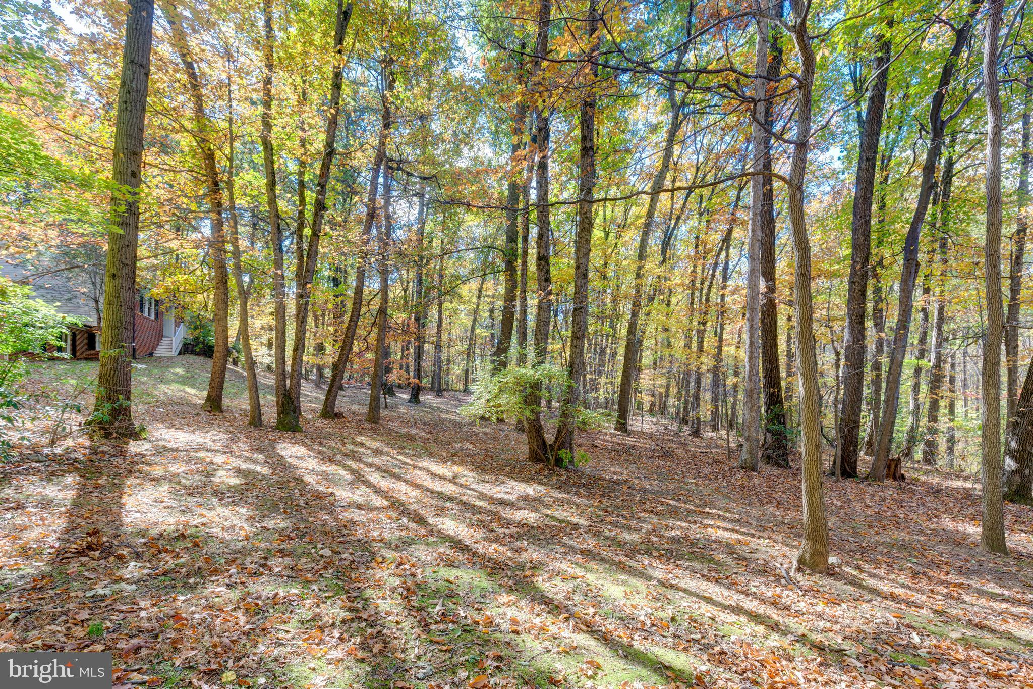 3870 Roop Road New Windsor, MD 21776 - Photo 59 of 59 a view of a backyard of the house