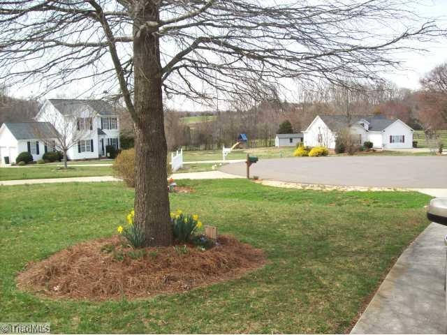 157 Winchester Road Advance, NC 27006 - Photo 15 of 16 Yard/Garden.