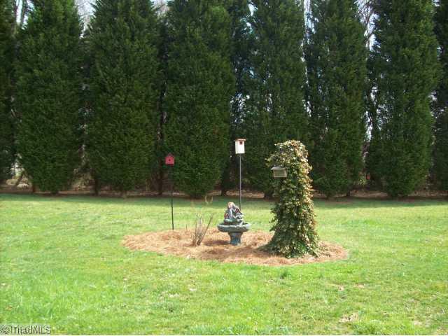 157 Winchester Road Advance, NC 27006 - Photo 16 of 16 Yard/Garden.