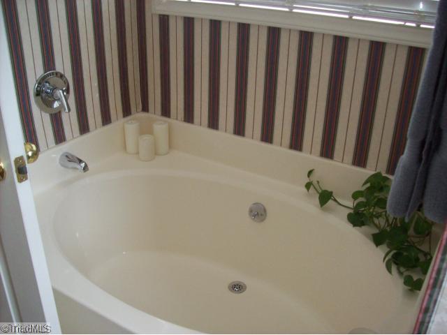 157 Winchester Road Advance, NC 27006 - Photo 10 of 16 Master Bath/Spa.