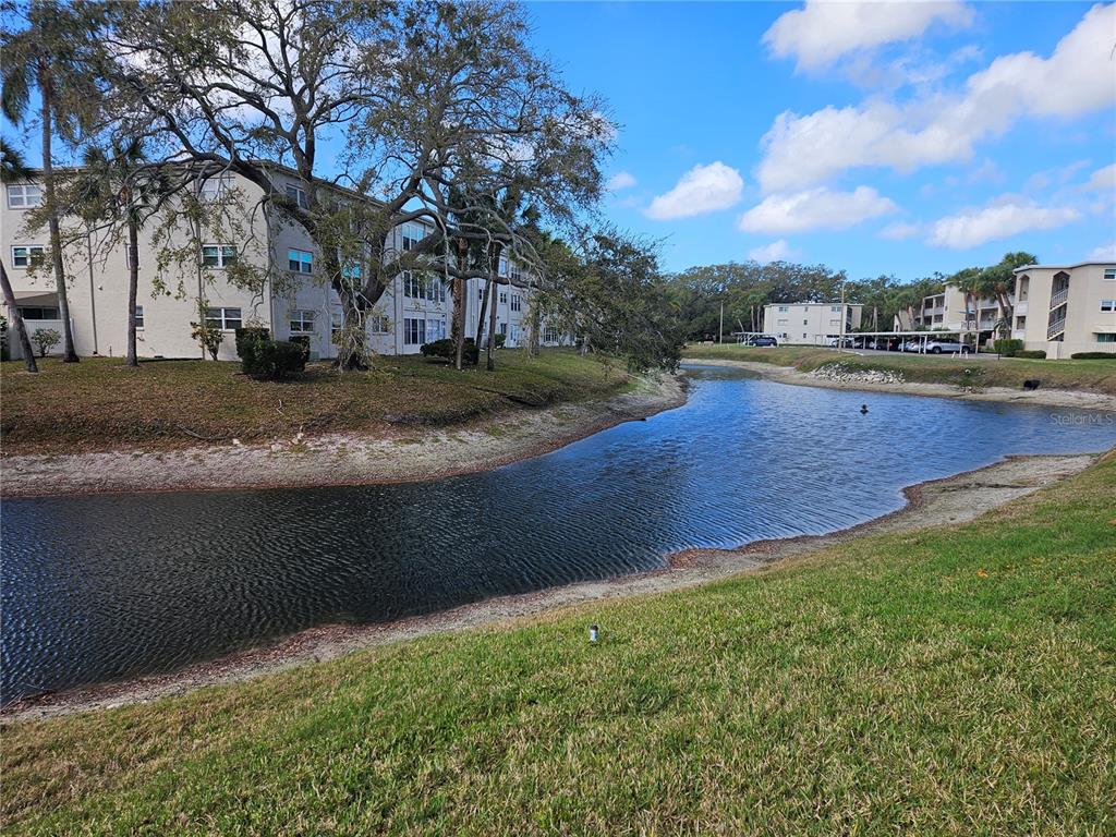 946 Virginia Street, Unit 104 Dunedin, FL 34698 - Photo 23 of 23 a view of a yard with cars parked