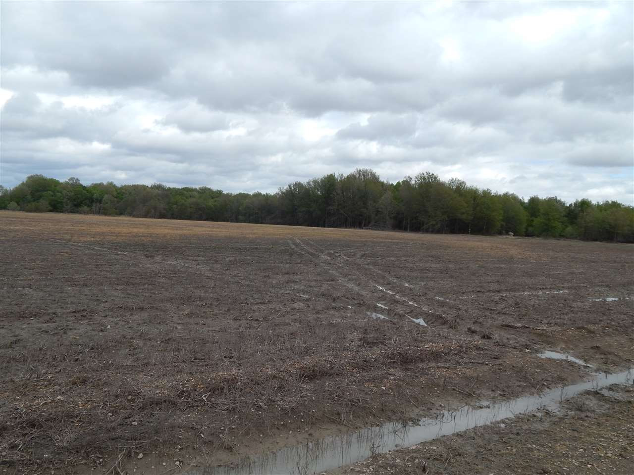 0 Courtney Road Indianola, MS 38751 - Photo 8 of 13 Photo 8