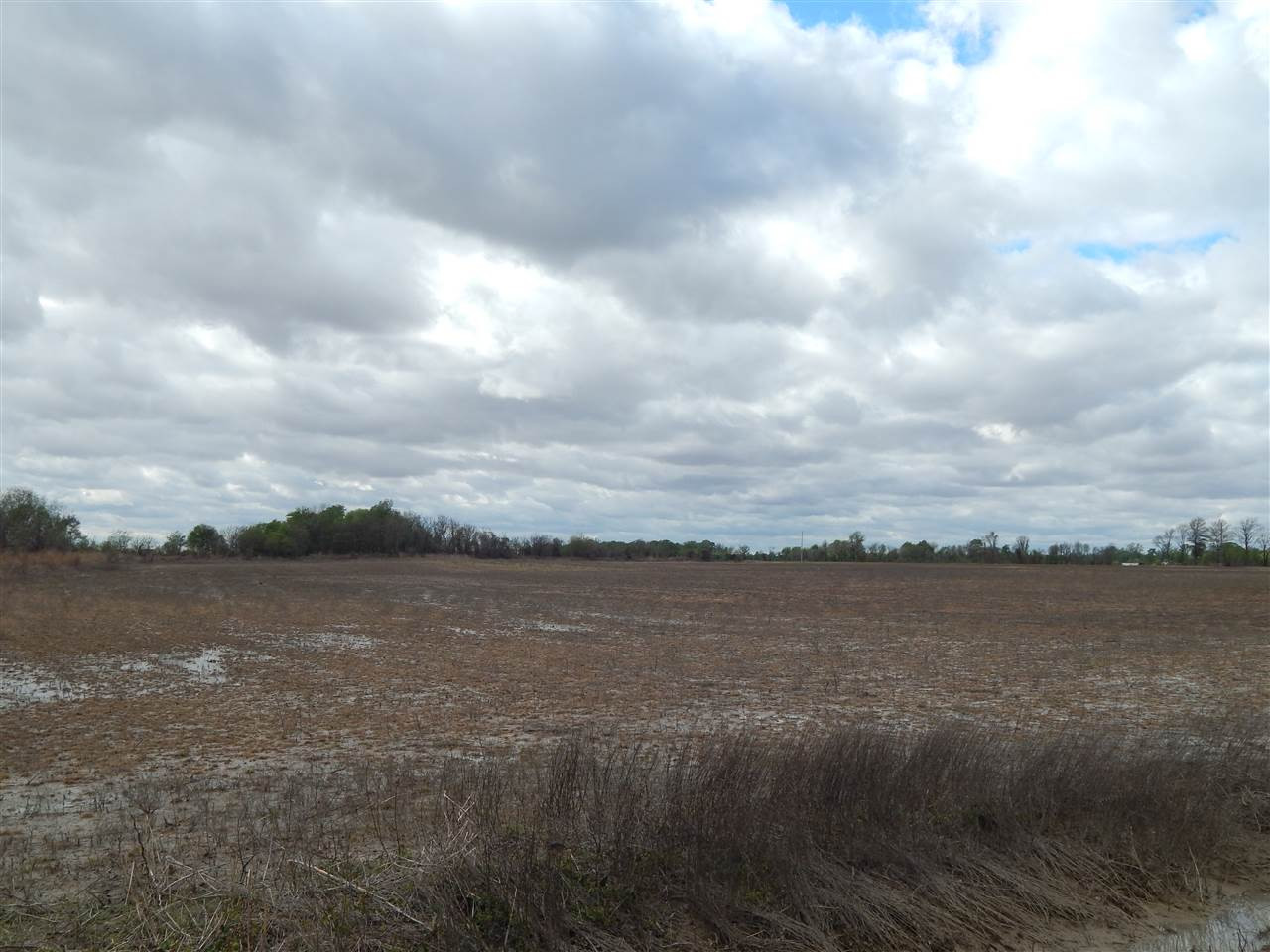 0 Courtney Road Indianola, MS 38751 - Photo 10 of 13 Photo 10