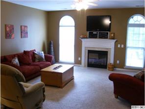 348 Sand Paver Way Fort Mill, SC 29708 - Photo 3 of 16 a living room with furniture and a fireplace