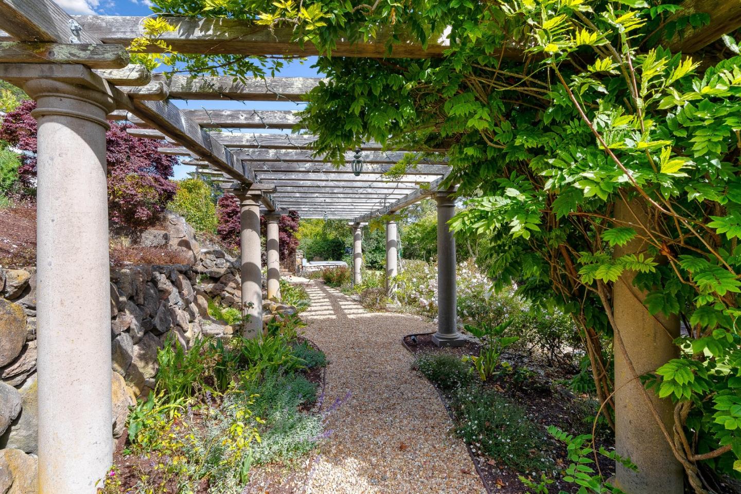 4038 Sunridge Road Pebble Beach, CA 93953 - Photo 35 of 48 a view of a backyard with plants and large trees