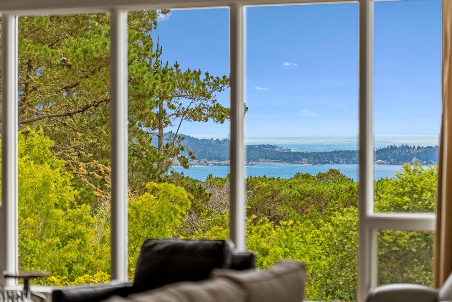 4038 Sunridge Road Pebble Beach, CA 93953 - Photo 7 of 48 a view of a back yard with plants