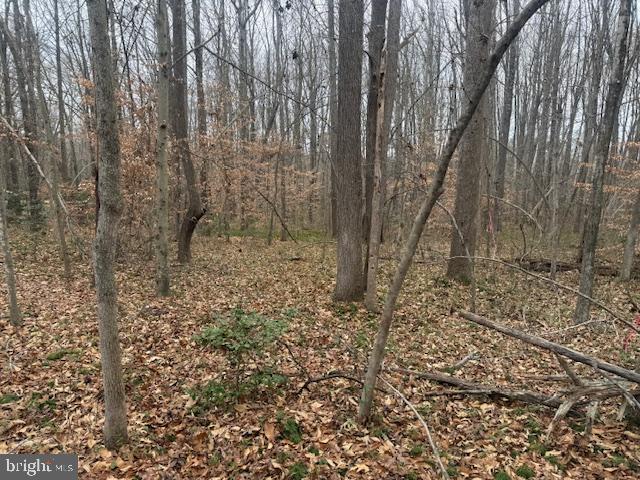 Brooke Road Fredericksburg, VA 22405 - Photo 12 of 31 a view of a yard with trees