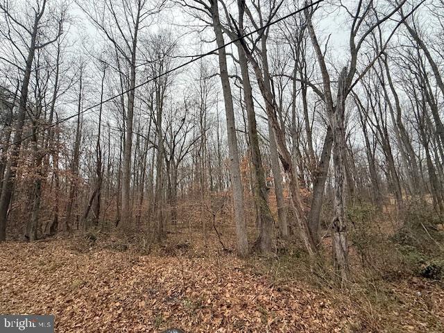 Brooke Road Fredericksburg, VA 22405 - Photo 13 of 31 a view of a backyard