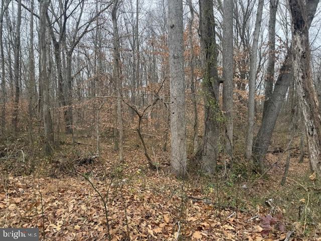 Brooke Road Fredericksburg, VA 22405 - Photo 14 of 31 a plant is in the middle of a forest