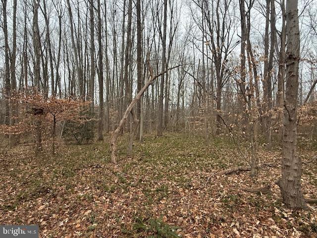 Brooke Road Fredericksburg, VA 22405 - Photo 16 of 31
