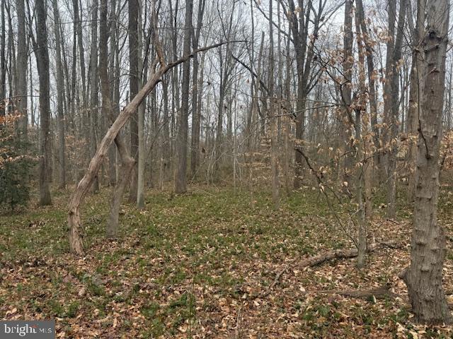 Brooke Road Fredericksburg, VA 22405 - Photo 17 of 31 a view of a yard with large trees