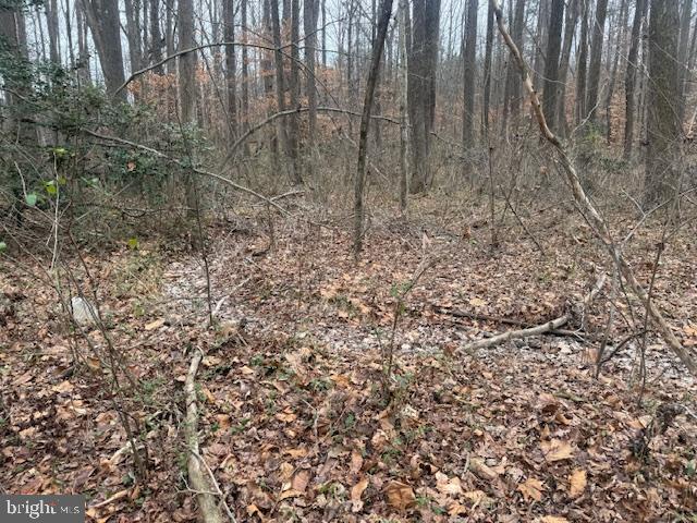 Brooke Road Fredericksburg, VA 22405 - Photo 20 of 31 a view of backyard with green space