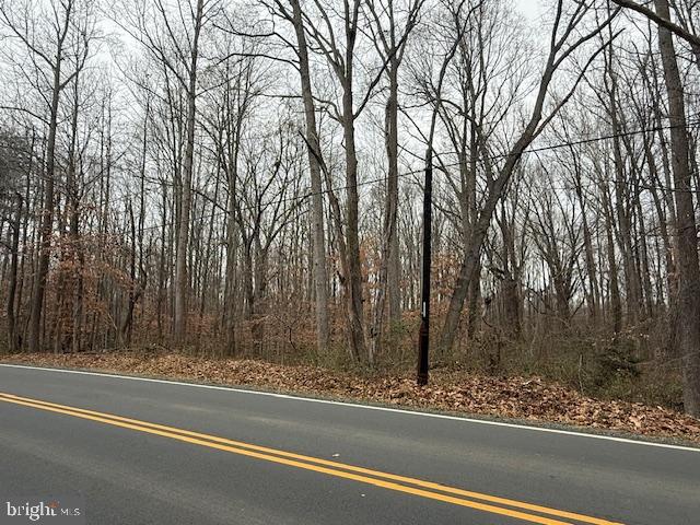 Brooke Road Fredericksburg, VA 22405 - Photo 2 of 31 a view of a yard with large tree