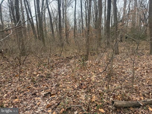 Brooke Road Fredericksburg, VA 22405 - Photo 21 of 31 a view of lots of trees