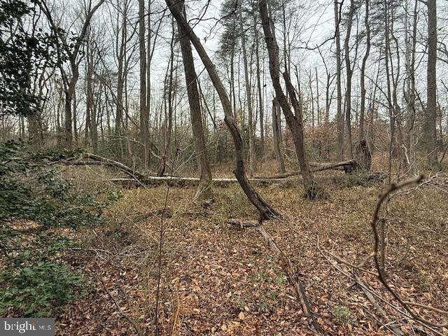 Brooke Road Fredericksburg, VA 22405 - Photo 22 of 31 a backyard of a house with lots of green space