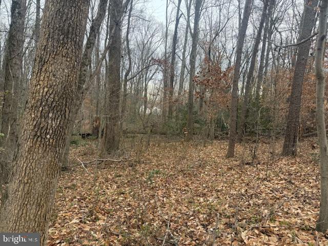 Brooke Road Fredericksburg, VA 22405 - Photo 23 of 31 a view of a forest