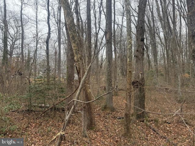 Brooke Road Fredericksburg, VA 22405 - Photo 24 of 31