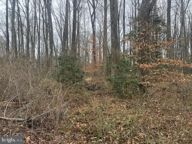 Brooke Road Fredericksburg, VA 22405 - Photo 26 of 31 a view of backyard with green space