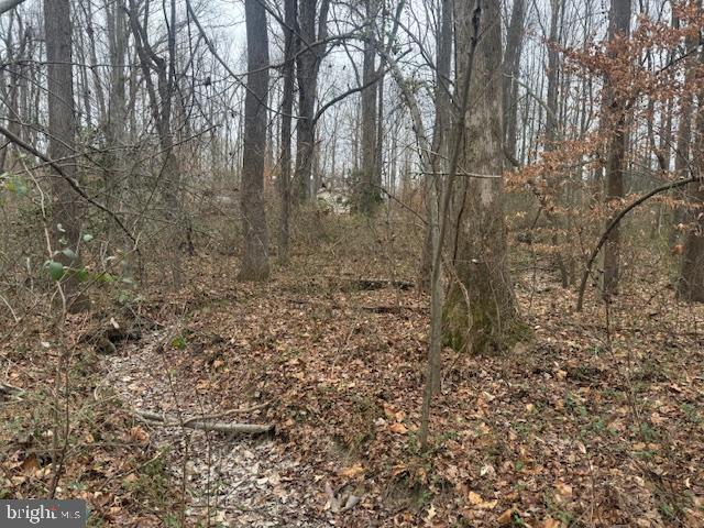 Brooke Road Fredericksburg, VA 22405 - Photo 27 of 31 a view of a yard with trees