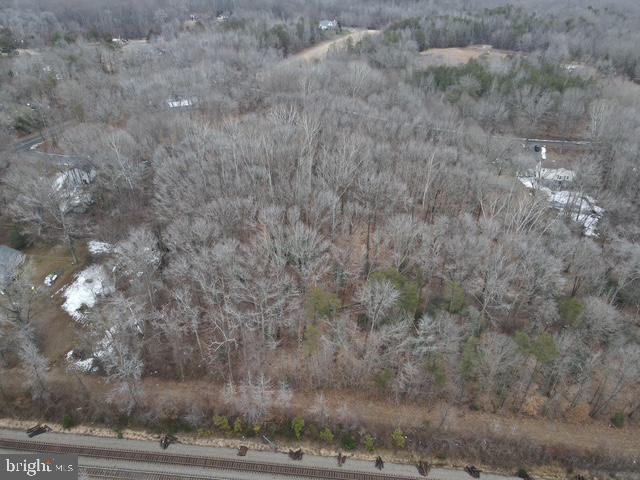 Brooke Road Fredericksburg, VA 22405 - Photo 4 of 31 a view of a dry space with lots of trees