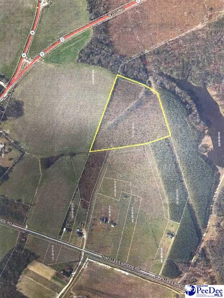 Tbd Harllees Bridge Road Dillon, SC 29536 - Photo 1 of 1 Gallery Image 1