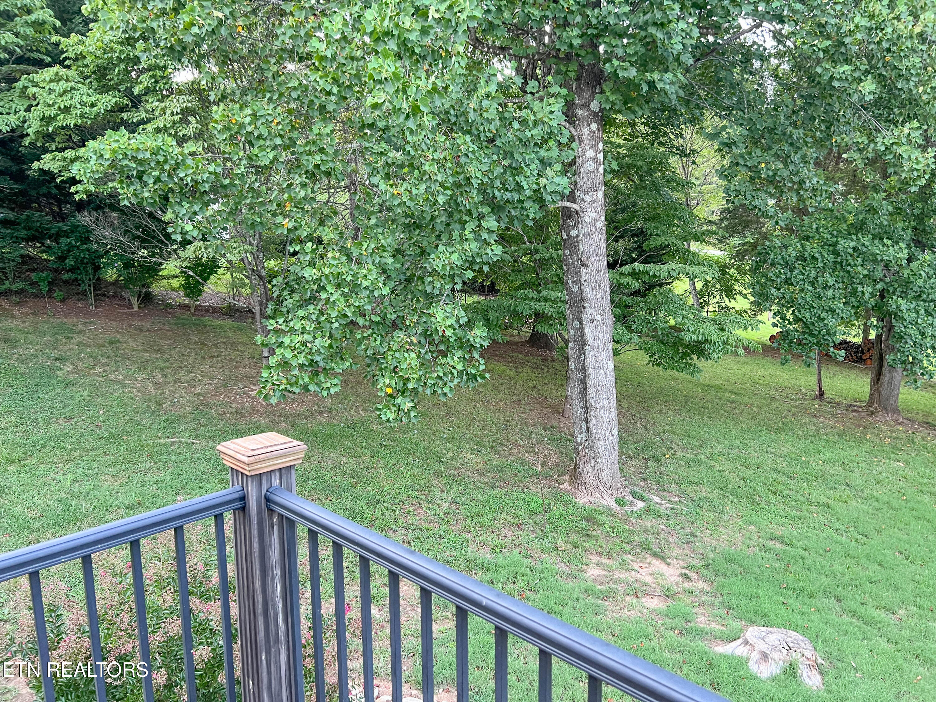 408 East Mountain View Road Corryton, TN 37721 - Photo 39 of 47 mtn view back yrd