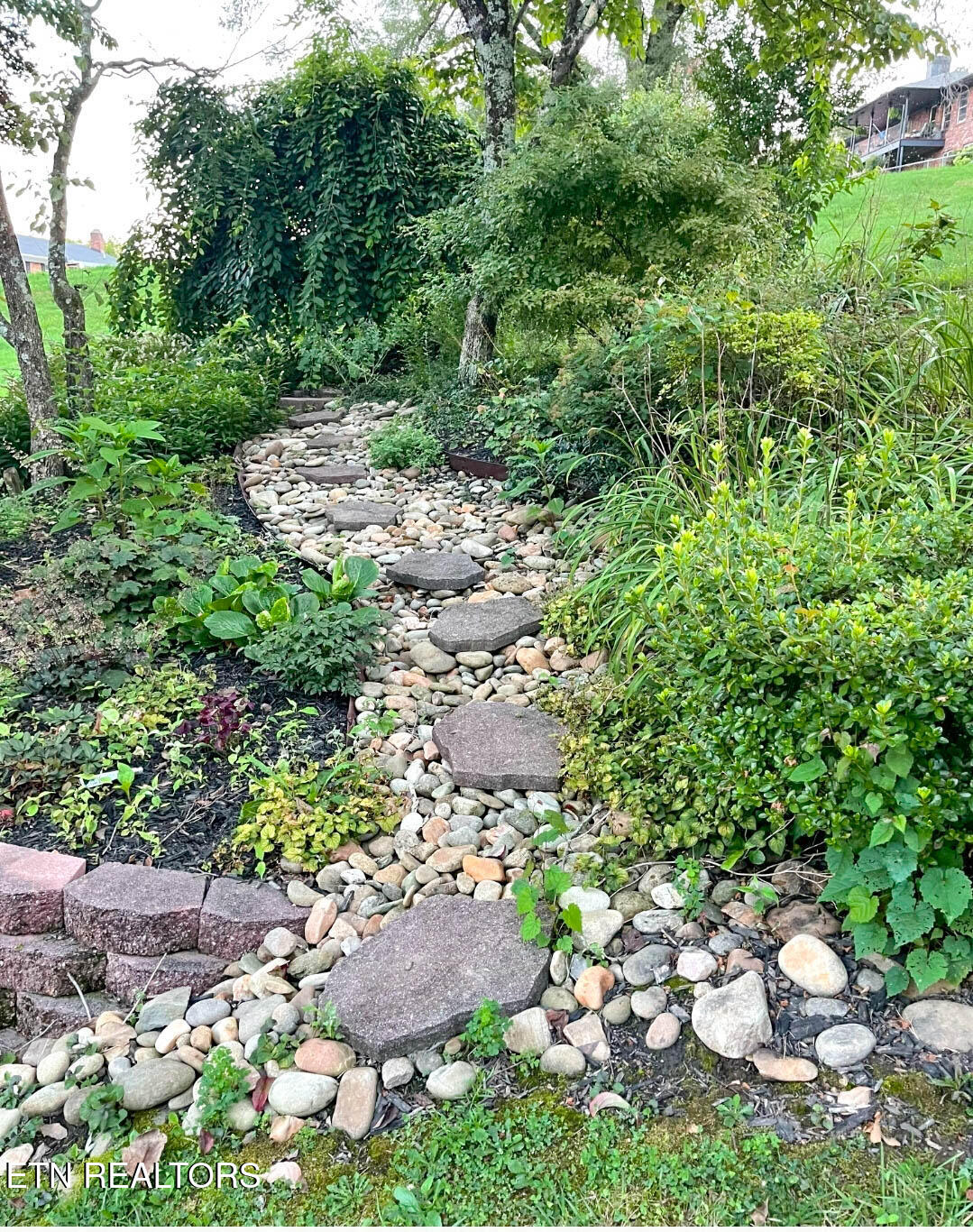 408 East Mountain View Road Corryton, TN 37721 - Photo 42 of 57 mtn view landscape