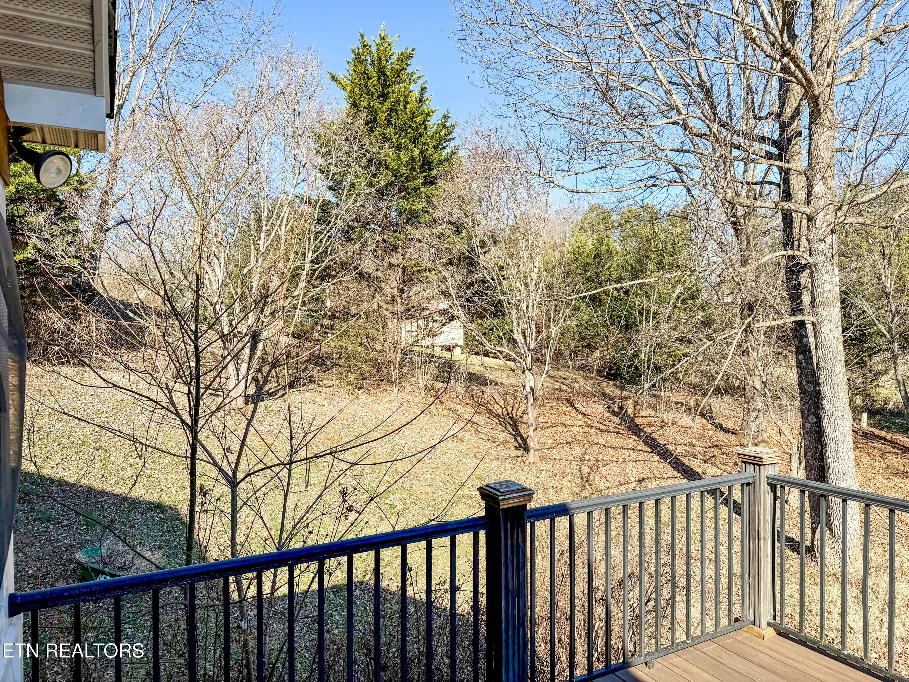 408 East Mountain View Road Corryton, TN 37721 - Photo 44 of 57 mtn view update side yard