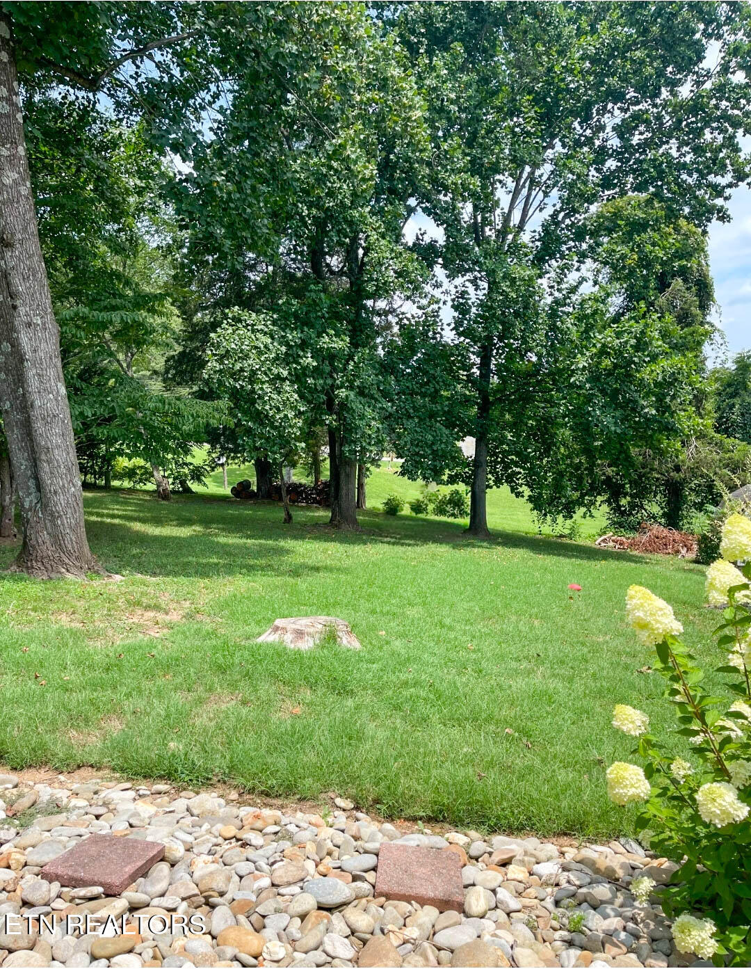 408 East Mountain View Road Corryton, TN 37721 - Photo 46 of 57 mtn view back yard1