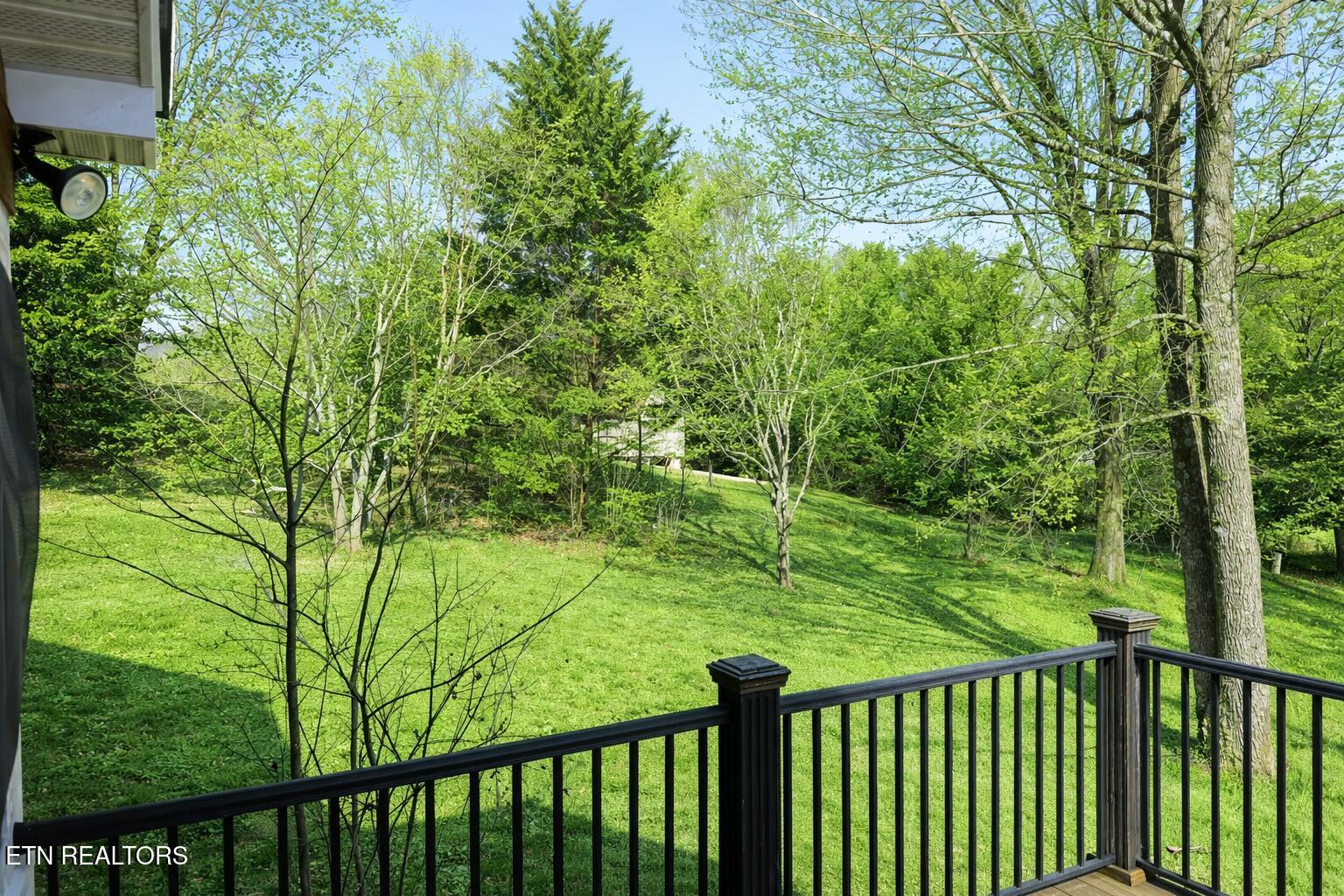 408 East Mountain View Road Corryton, TN 37721 - Photo 46 of 47 1000039404
