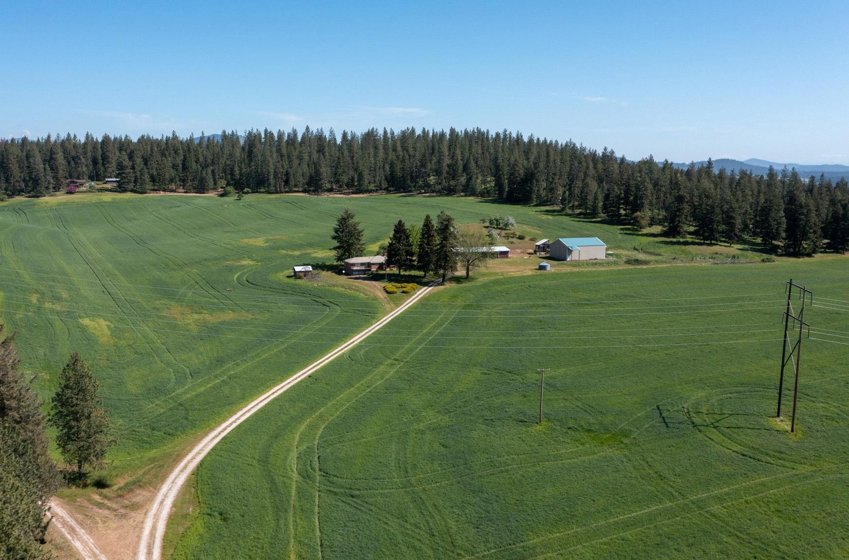 4881 A Carr Road Clayton, WA 99110 - Photo 35 of 44
