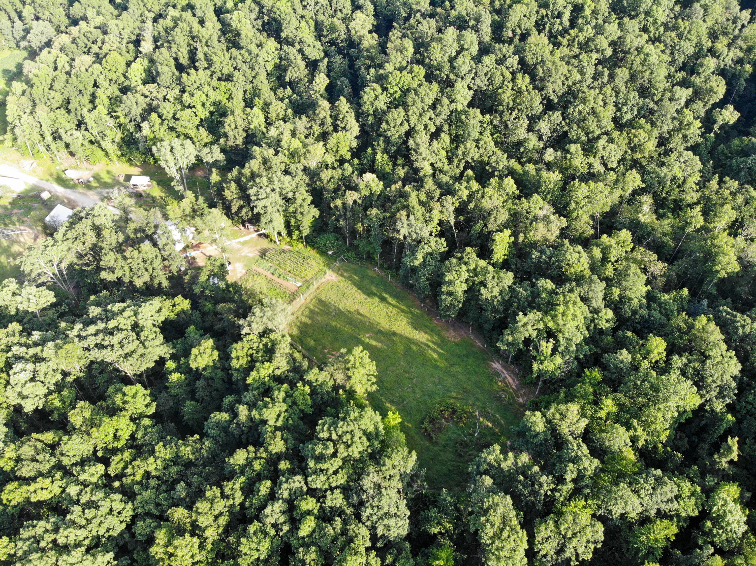 670 Buffalo Road Annville, KY 40402 - Photo 43 of 80 DJI_0785
