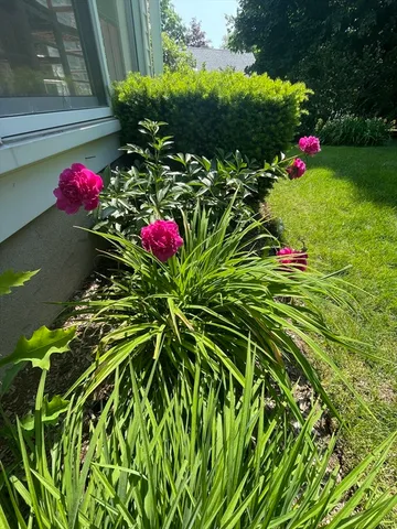 $1,275,000 | 48 Concord Avenue, Belmont, MA 02478