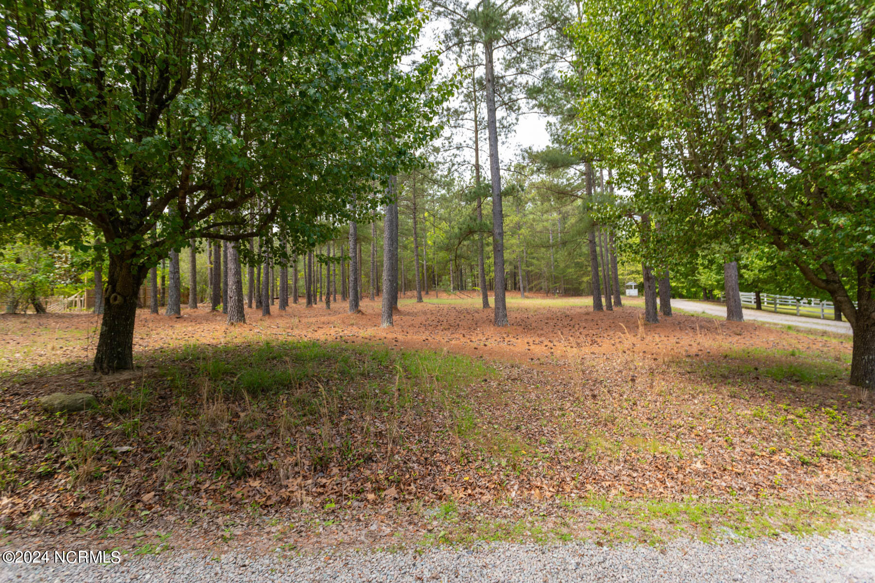 Tbd Shagbark Road West End, NC 27376 - Photo 4 of 7 TBD Shagbark Ct-2