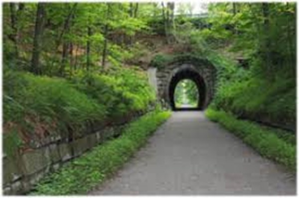 43 Fairview Street Holliston, MA 01746 - Photo 24 of 27