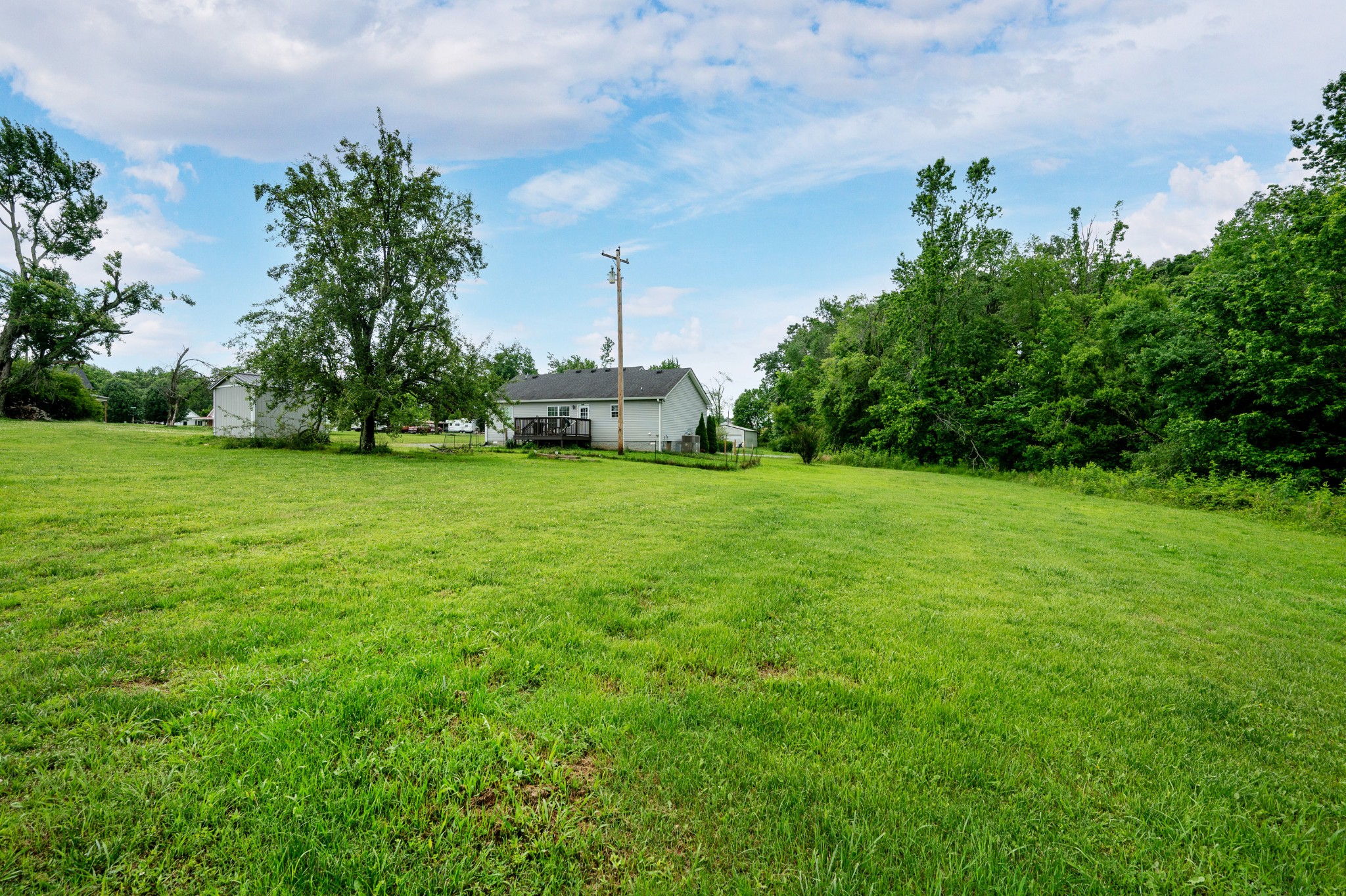2995 Oak Grove Church Road Bethpage, TN 37022 - Photo 22 of 28 a view of a grassy field with plants and trees