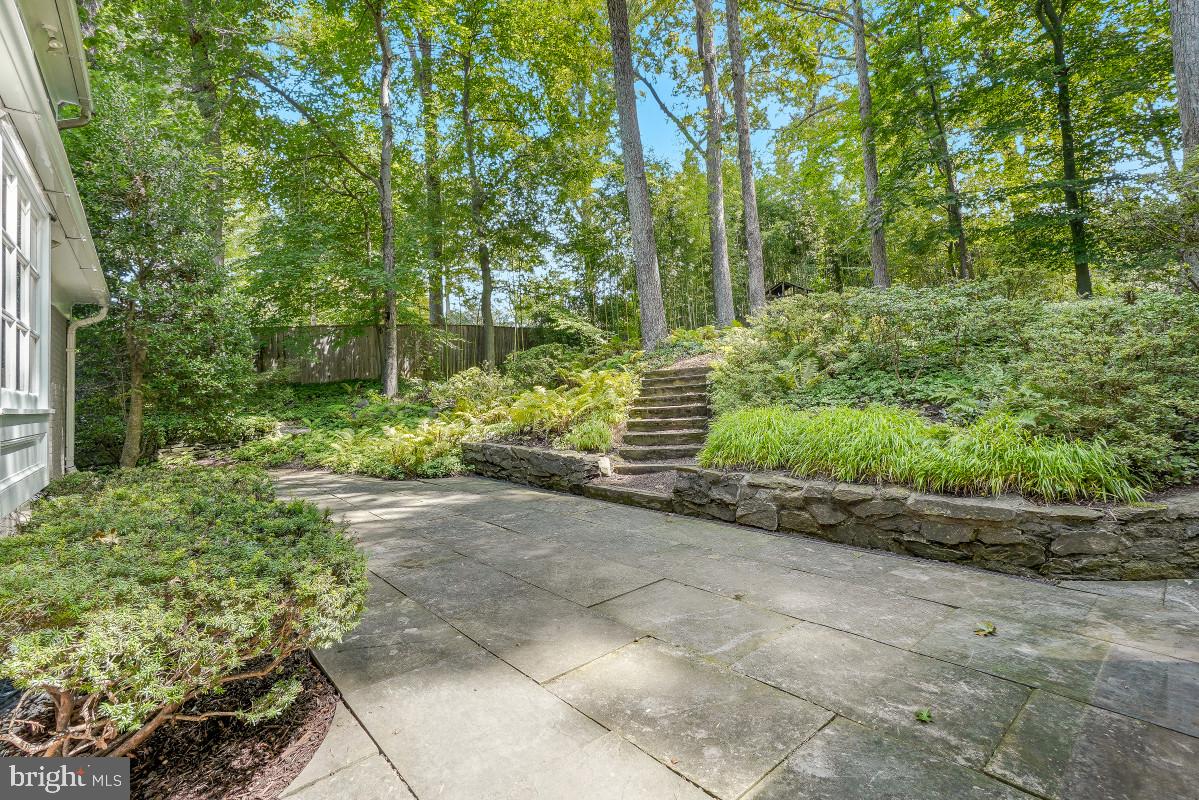 8006 Greentree Road Bethesda, MD 20817 - Photo 41 of 44 Back Patio