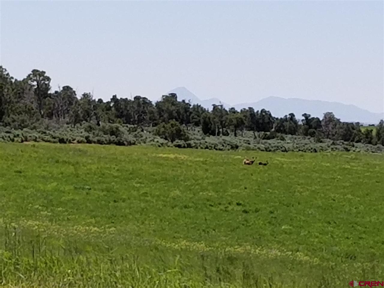 Tbd 6hs Egnar, CO 81325 - Photo 1 of 18 a view of a grassy field with trees