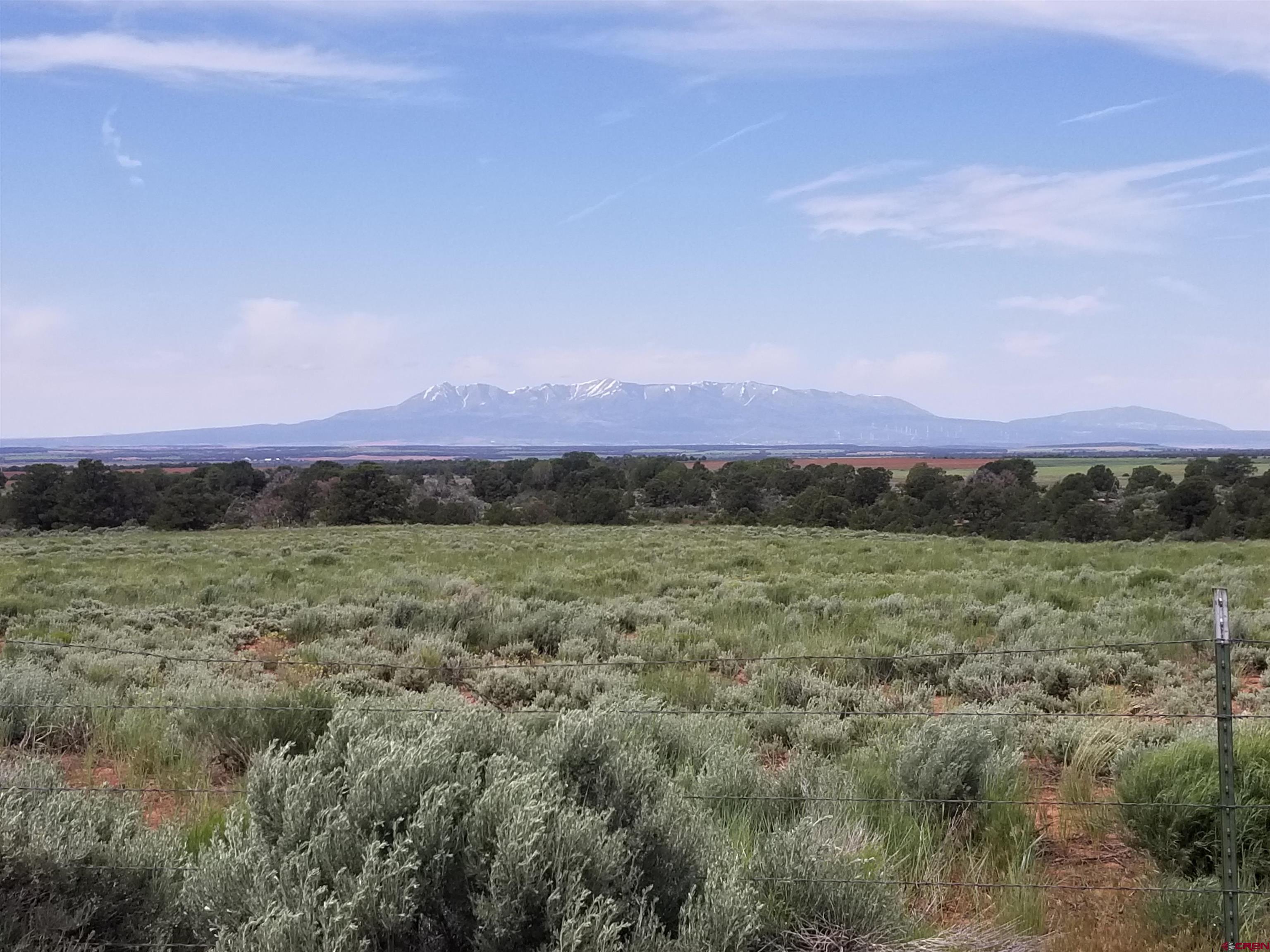 Tbd 6hs Egnar, CO 81325 - Photo 12 of 18 a view of an outdoor space and mountain view