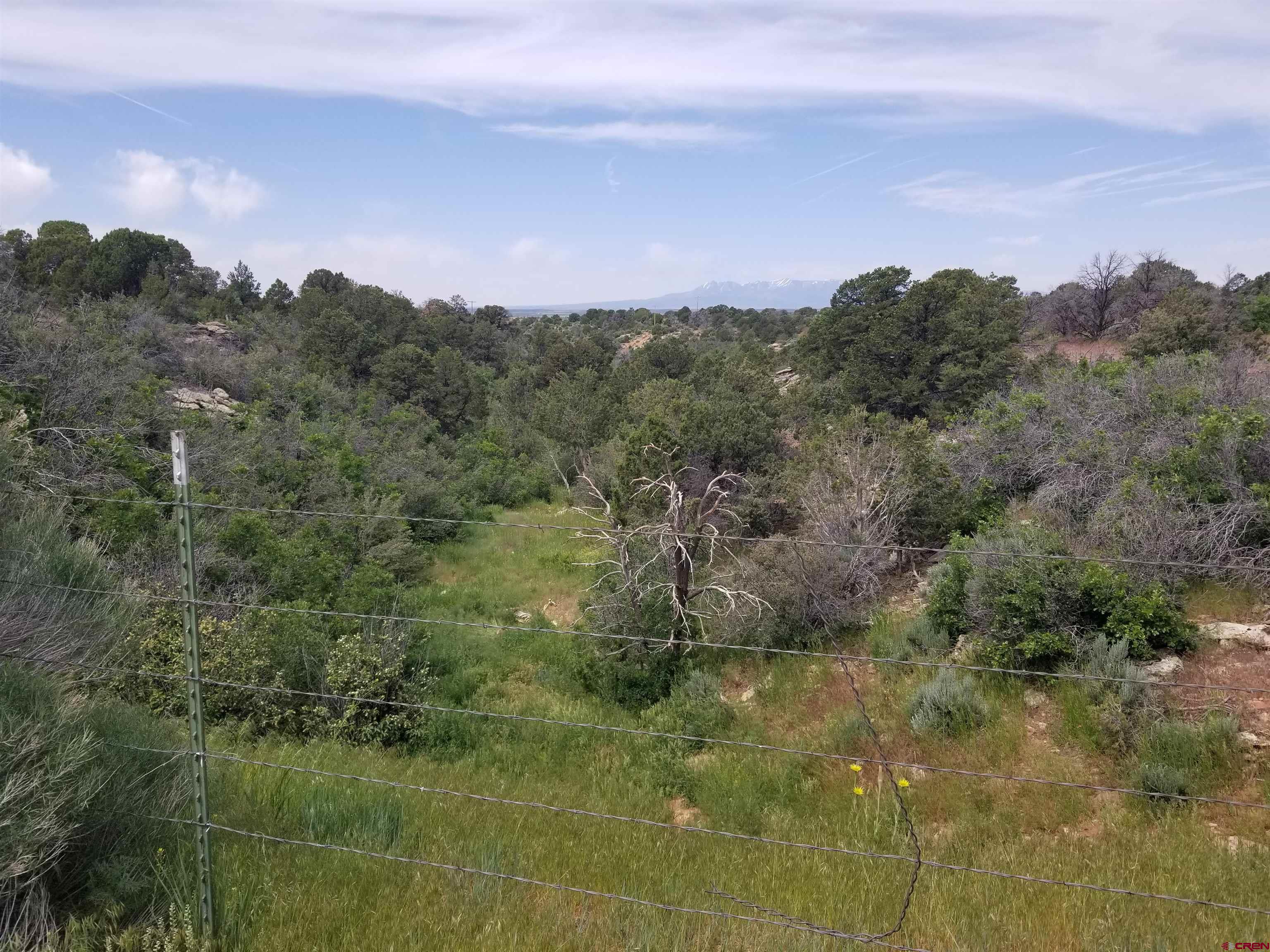 Tbd 6hs Egnar, CO 81325 - Photo 13 of 18 a view of a city with lush green forest