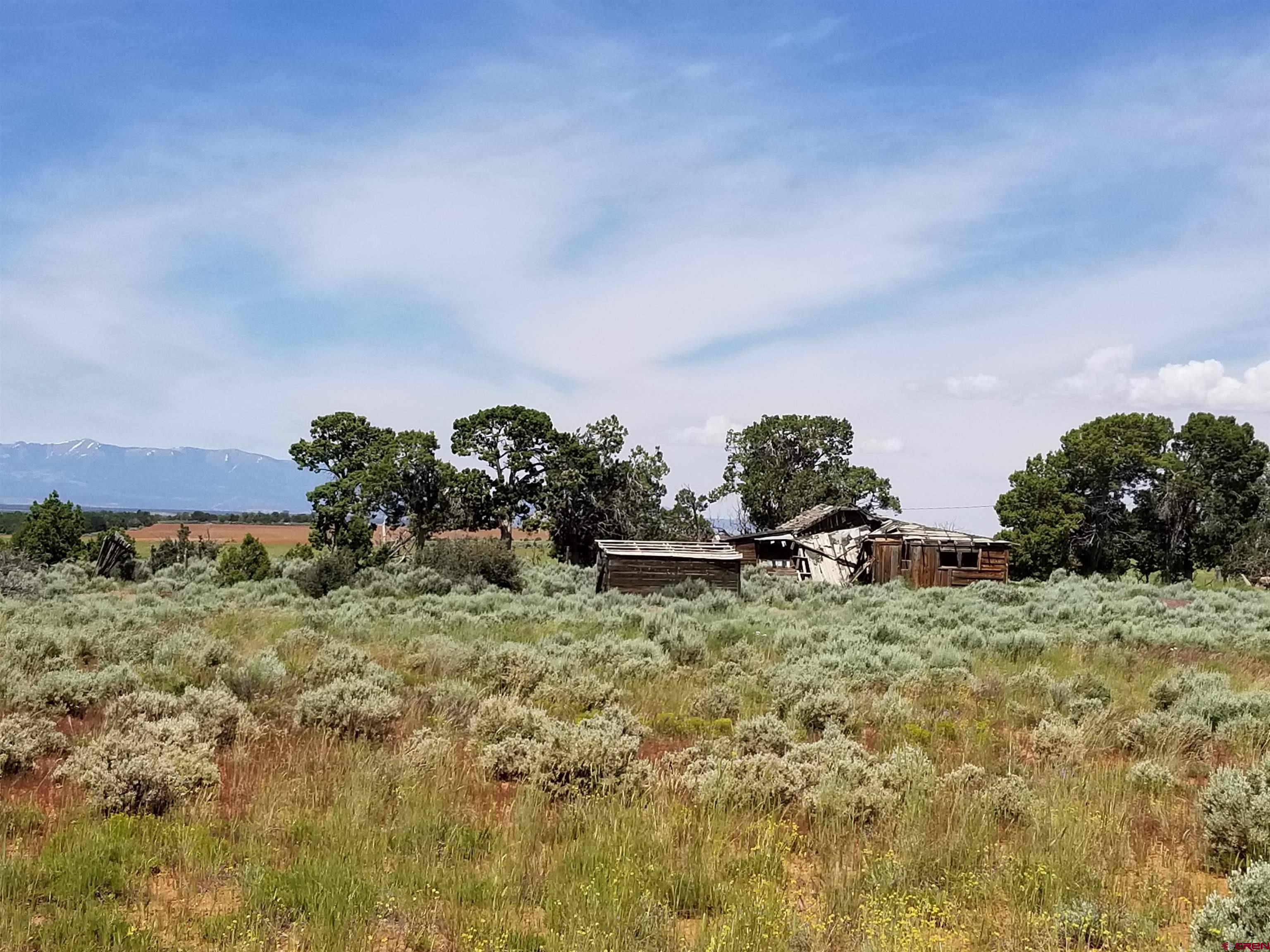 Tbd 6hs Egnar, CO 81325 - Photo 15 of 18 a backyard of a house