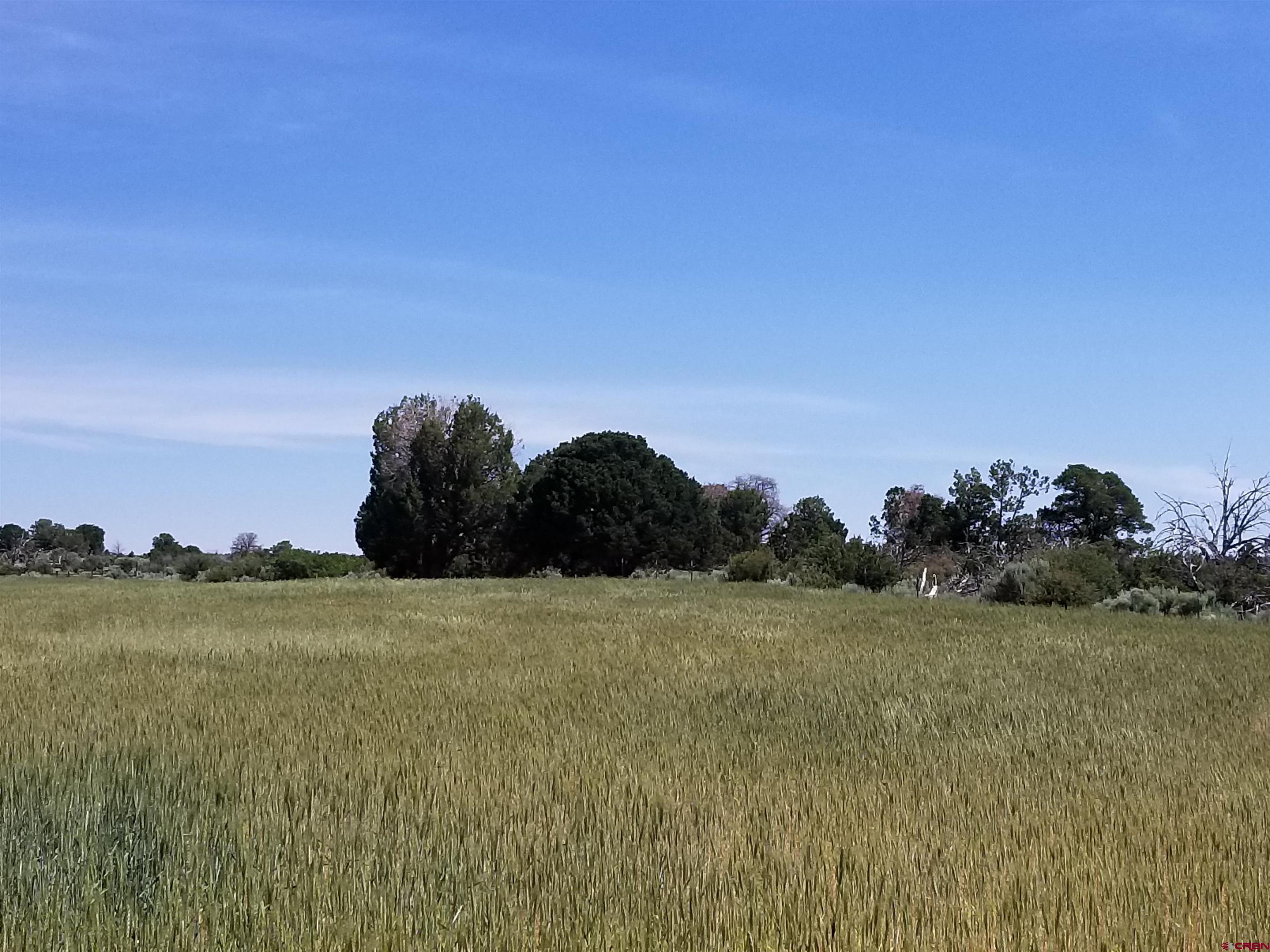 Tbd 6hs Egnar, CO 81325 - Photo 16 of 18 a view of a field with an ocean in background