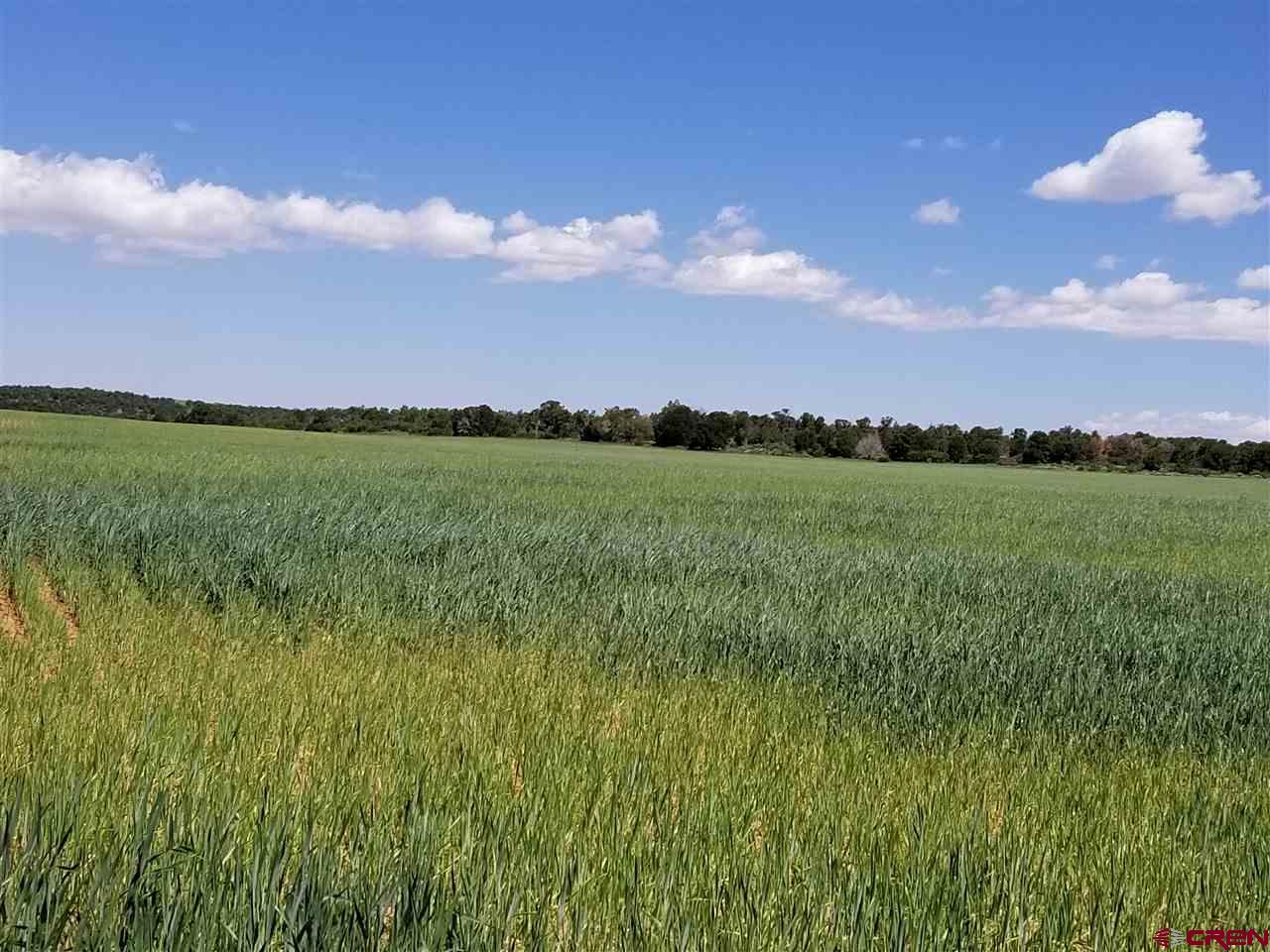 Tbd 6hs Egnar, CO 81325 - Photo 2 of 18