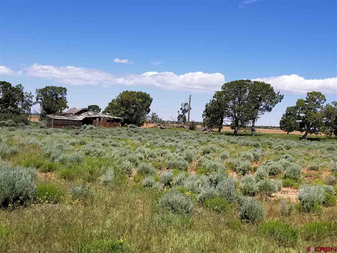 Tbd 6hs Egnar, CO 81325 - Photo 6 of 18 a view of a green field with lots of bushes