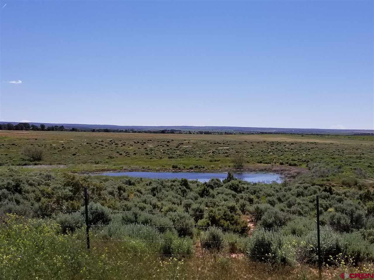 Tbd 6hs Egnar, CO 81325 - Photo 9 of 18 a view of a field with an ocean