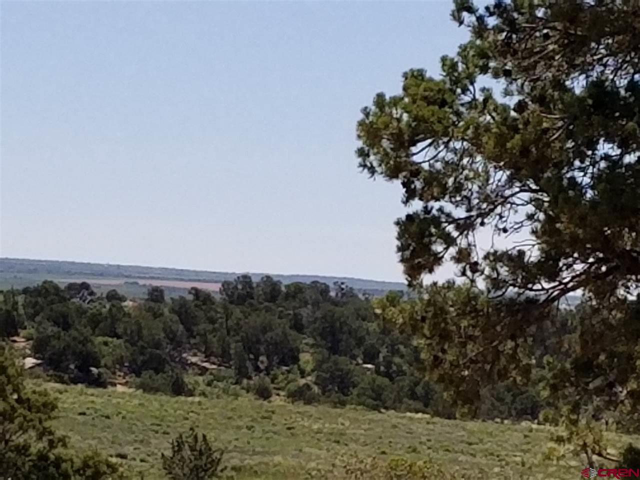 Tbd 6hs Egnar, CO 81325 - Photo 10 of 18 a view of a large yard with lots of green space