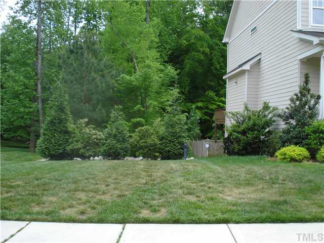 2225 Dunlin Lane Raleigh, NC 27614 - Photo 5 of 24 Open space next door!