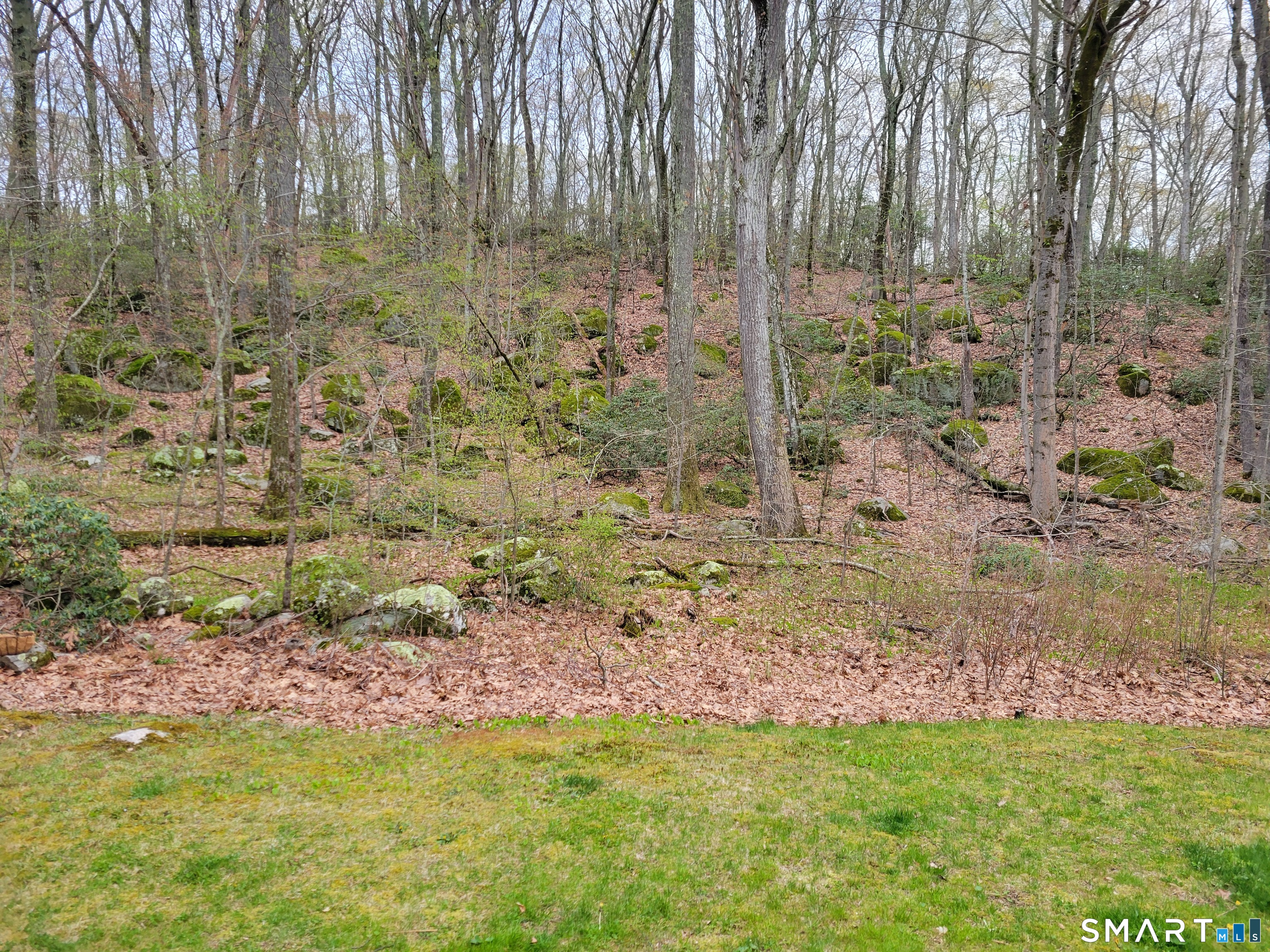 301 Buddington Road Groton, CT 06340 - Photo 5 of 6 a view of a backyard