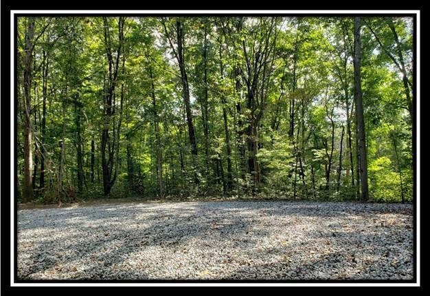 0 Pedigo Ridge Road, Unit TRACT 1) New Marshfield, OH 45766 - Photo 29 of 78 image029